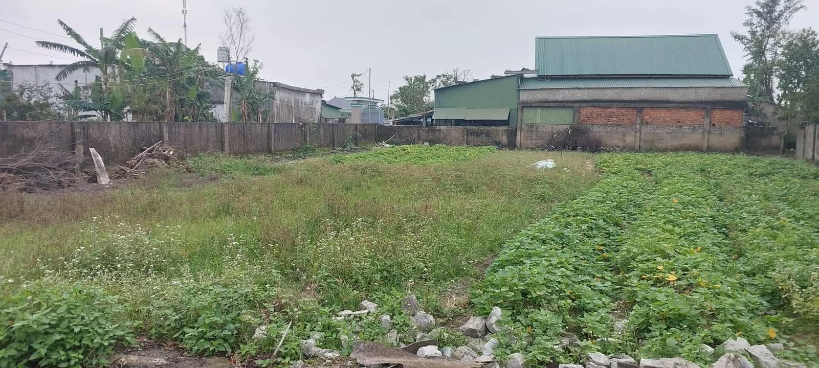 Đất nền thôn Tân Phú, xã Mai Phụ, 105m² giá 1.1 tỷ - Đầu tư sinh lời ngay!