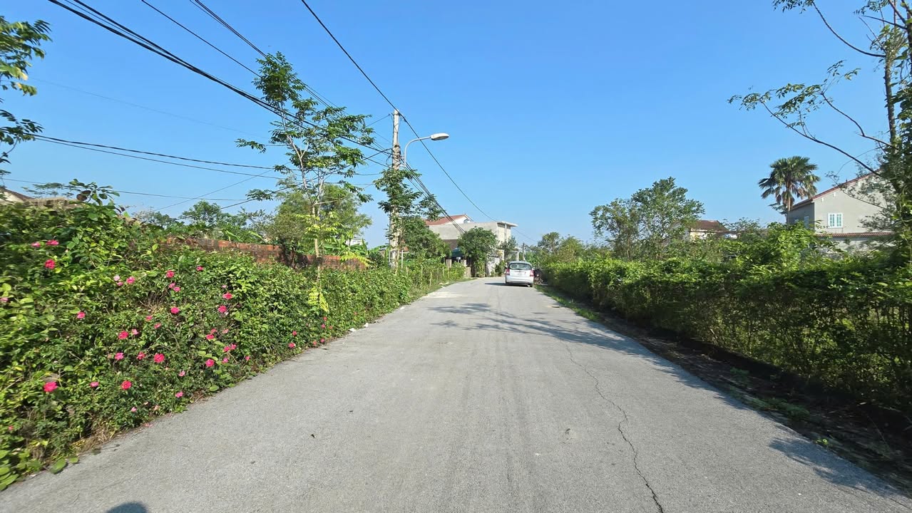 Đất nền Cẩm Bình 178,5m² giá chỉ 2.2 tỷ - Đường rộng thông thoáng!