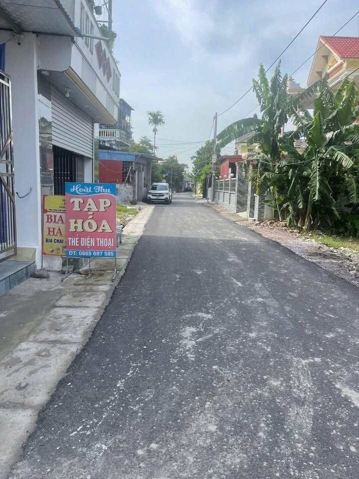 Lô đất 100m² Đường Đâu Kiên, Quốc Tuấn, An Lão chỉ 700 triệu - Cơ hội tuyệt vời cho nhà đầu tư!