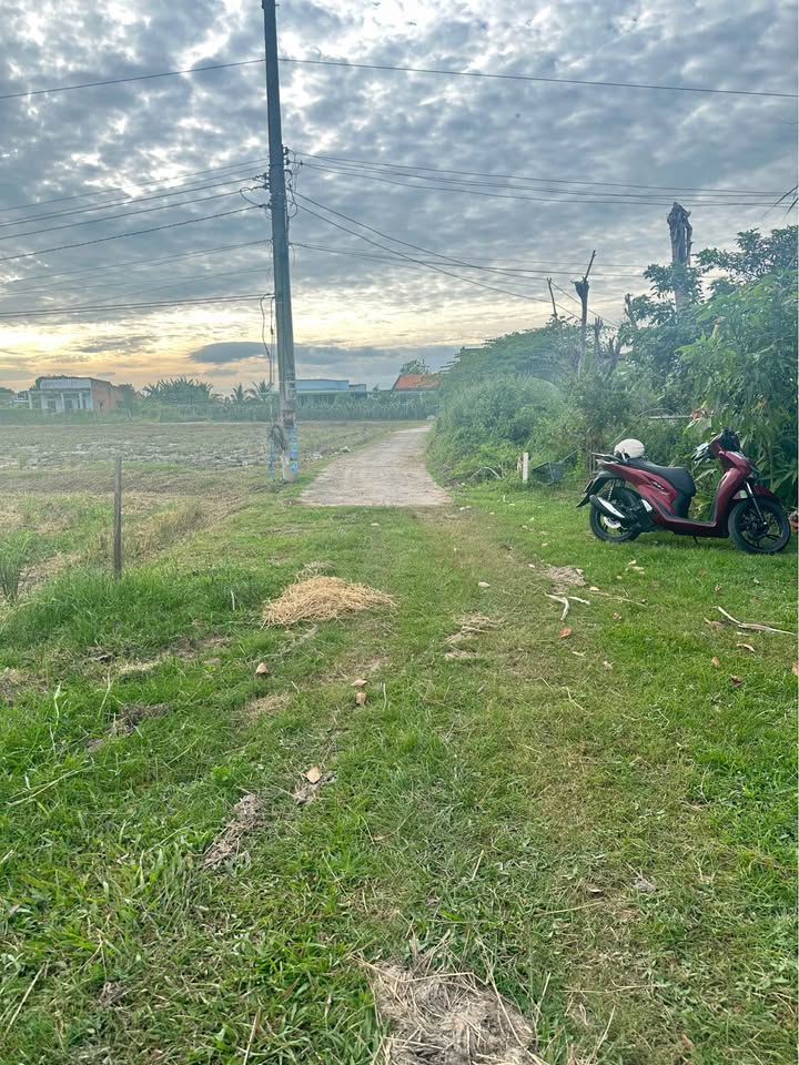 Đất nông nghiệp Hàm Liêm 2000m² giá 700 triệu - Cơ hội đầu tư tuyệt vời!