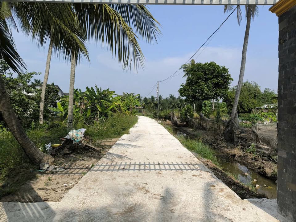 Nhà vườn 1192m² Bến Lức giá 4.2 tỷ - An cư lý tưởng!