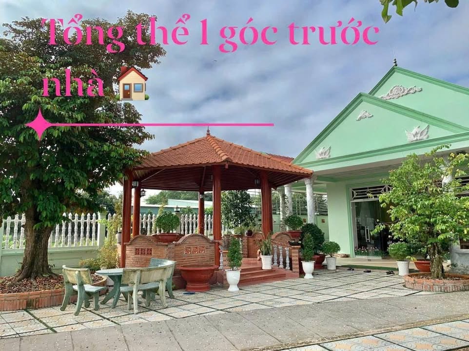 Bán nhà vườn mặt tiền đường Phạm Văn Cội, Củ Chi, 832m² - Vị trí đắc địa cho kinh doanh!