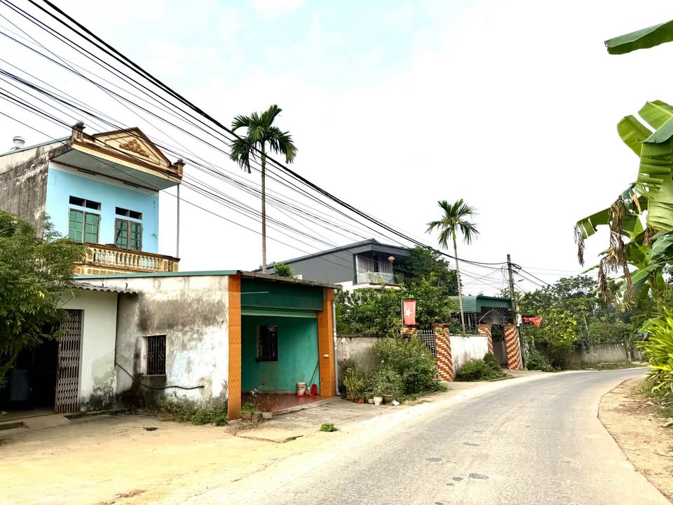 Đất An Tường 200m² giá tốt - Pháp lý rõ ràng, ô tô vào tận nơi!