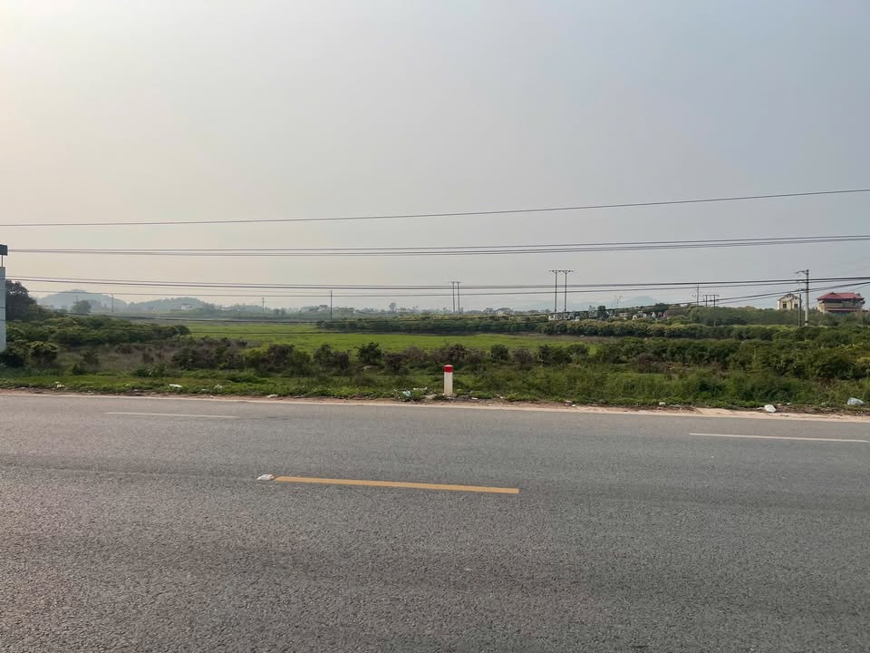 Đất mặt đường Quốc lộ 31 Lục Ngạn 72m² - Kinh doanh sinh lời ngay!