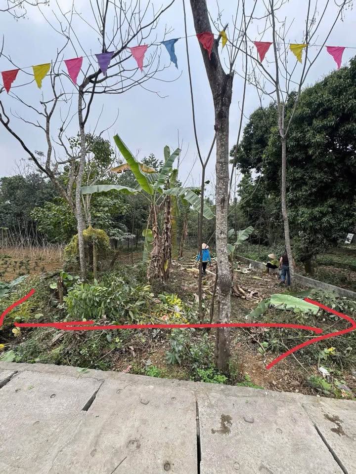 Đất mặt đường Lộc Môn, Lương Sơn, Hoà Bình 341m² - Kinh doanh thuận lợi!