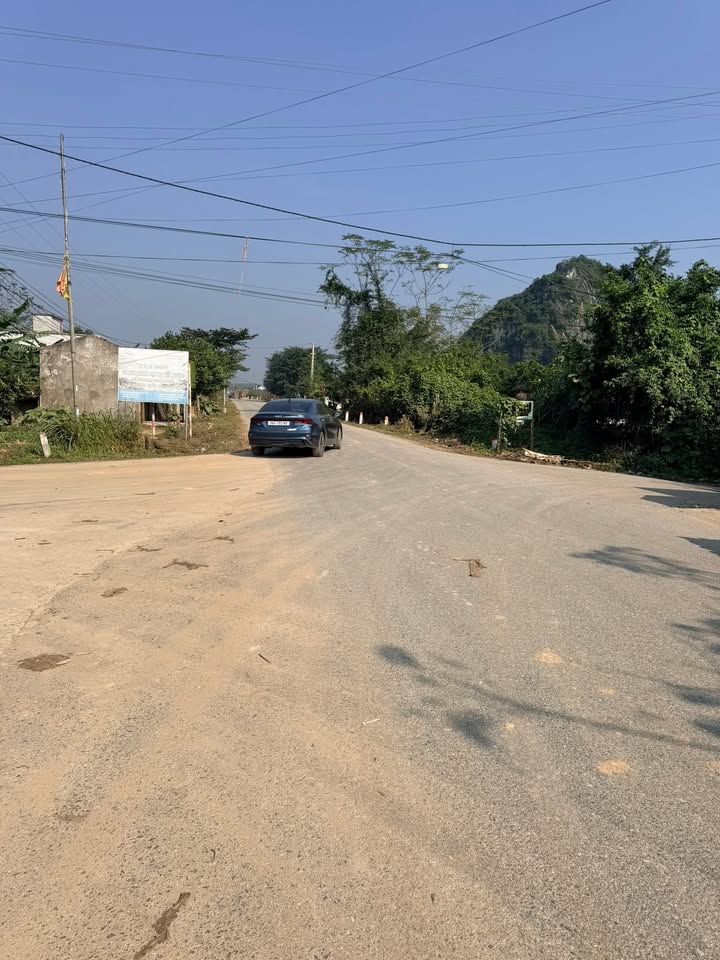 Đất vườn An Bình Phú Thọ 3846m² giá 5 tỷ - Đầu tư sinh lời ngay!