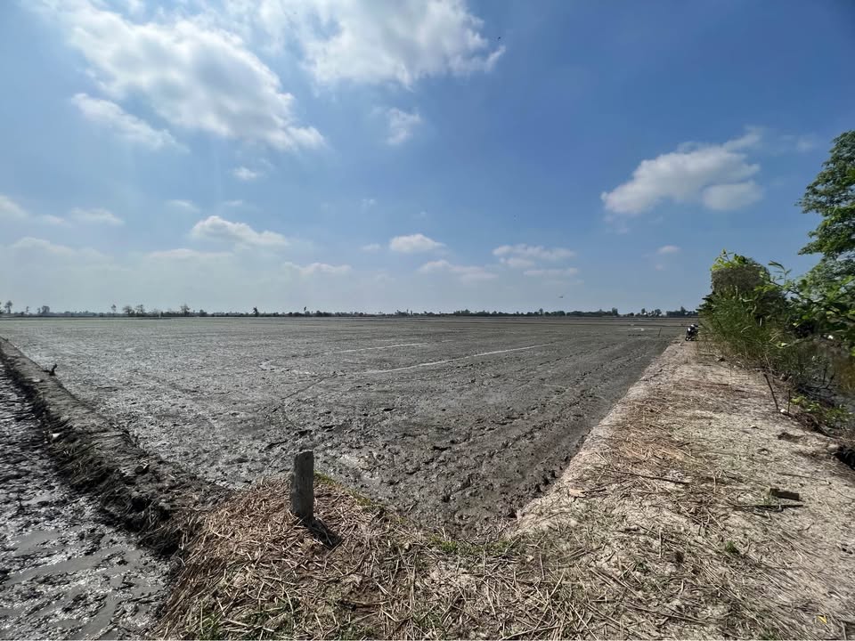 Đất lúa 28.739m² Vĩnh Trạch, Thoại Sơn - Giá chỉ 4.438 tỷ, 2 mặt tiền kênh!