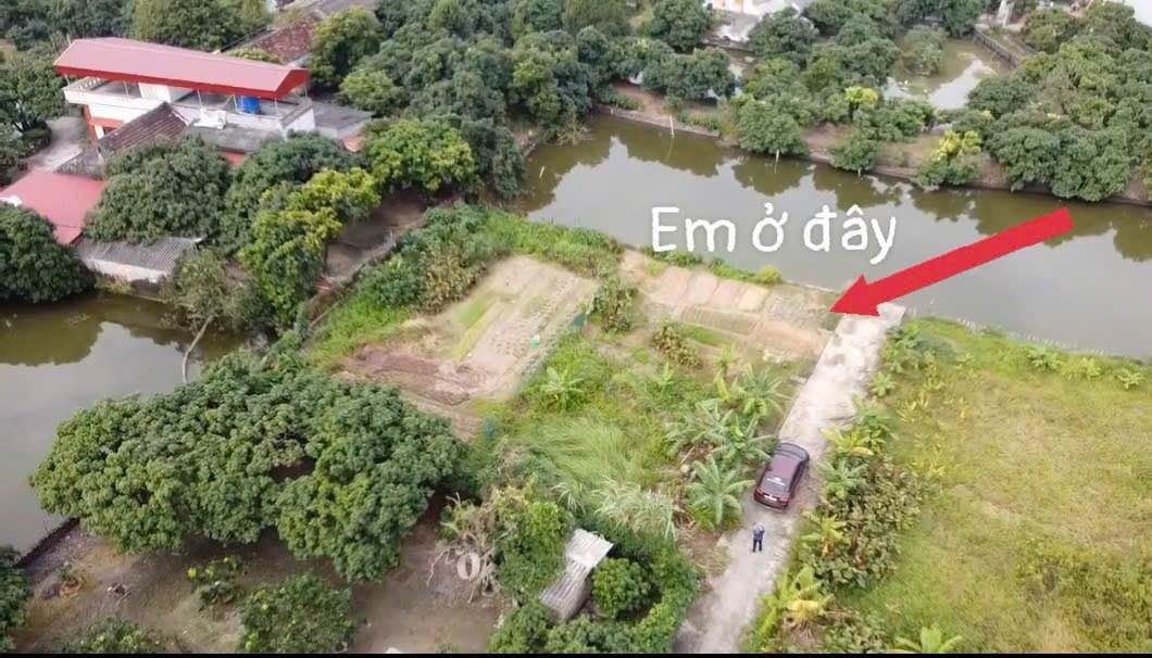 Lô đất Phù Cừ Hưng Yên 130m² giá chỉ vài trăm triệu - Chính chủ bán gấp!