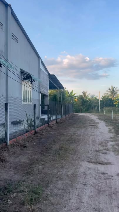 Đất nền 500m² xã Long Chữ, Tây Ninh - Sổ hồng riêng, giá 275 triệu!