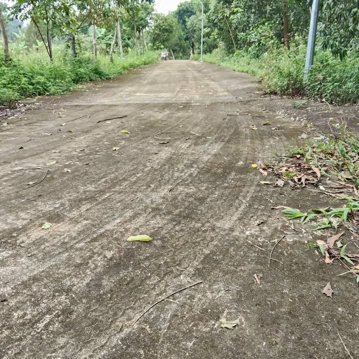 Đất nền Hợp Tiến, Triệu Sơn 161m² - Đường bê tông rộng, giá hời!