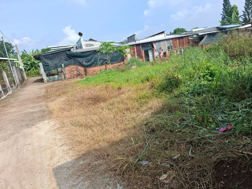 Đất nền Đất Đỏ 60m² giá 700 triệu - Vị trí đắc địa ngay trung tâm!