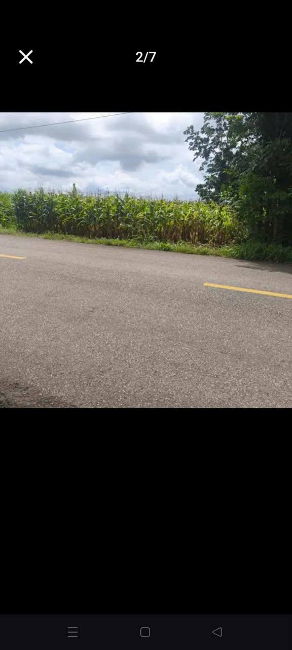 Đất nền Kim Long, Châu Đức 5500m² giá 9 tỷ - Mặt tiền đường Xà Bang