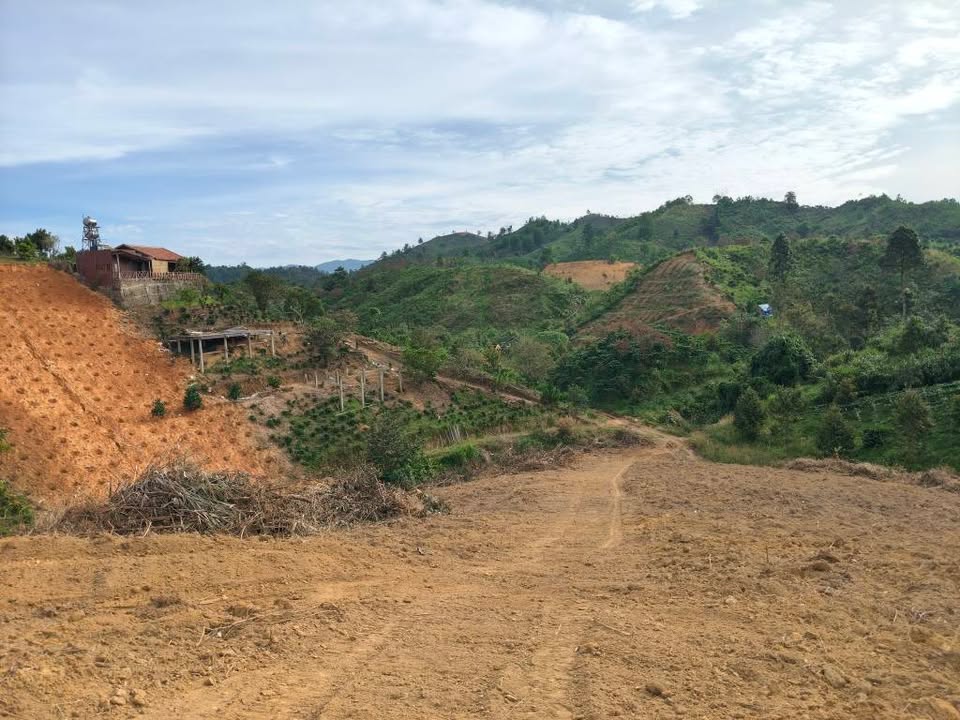 Đất nền Lộc Bắc Bảo Lâm 50000m² giá 3.1 tỷ - Sổ đỏ chính chủ, ô tô vào tận nơi!