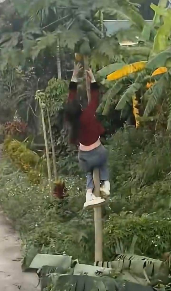 Đất thổ cư Lạc Long Quân Thắng Lợi 180m² giá 1.5 tỷ - Đầu tư sinh lời ngay!