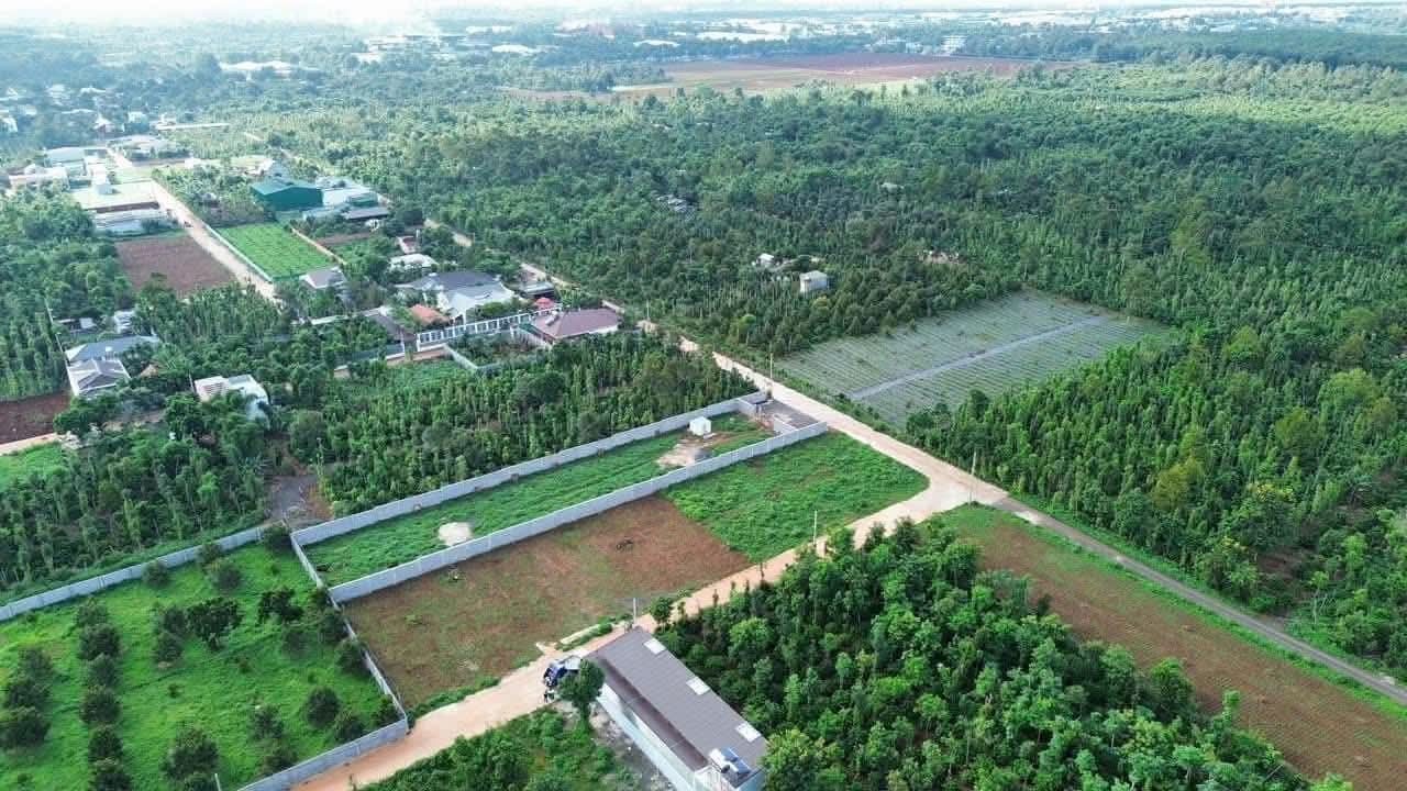 Đất nền biệt thự Tân Lợi, Buôn Ma Thuột 2020m² giá 11 tỷ - Cơ hội đầu tư tuyệt vời!