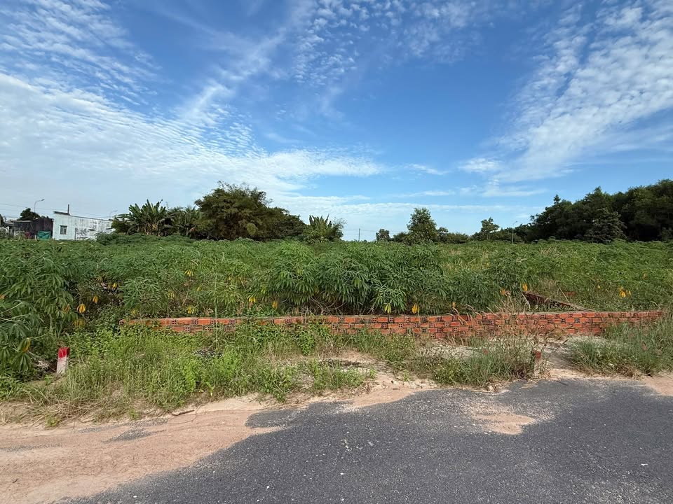 Đất mặt tiền nhựa Đường số 6, Tam Phước, Long Điền 375m² giá chỉ 1.45 tỷ - Cơ hội đầu tư tuyệt vời!