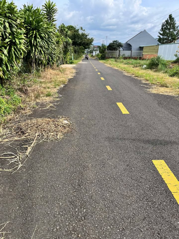 Đất nền Hẻm 75 Trần Tế Xương, Bảo Lộc 125m² - Giá 1.2 tỷ, view thoáng mát!