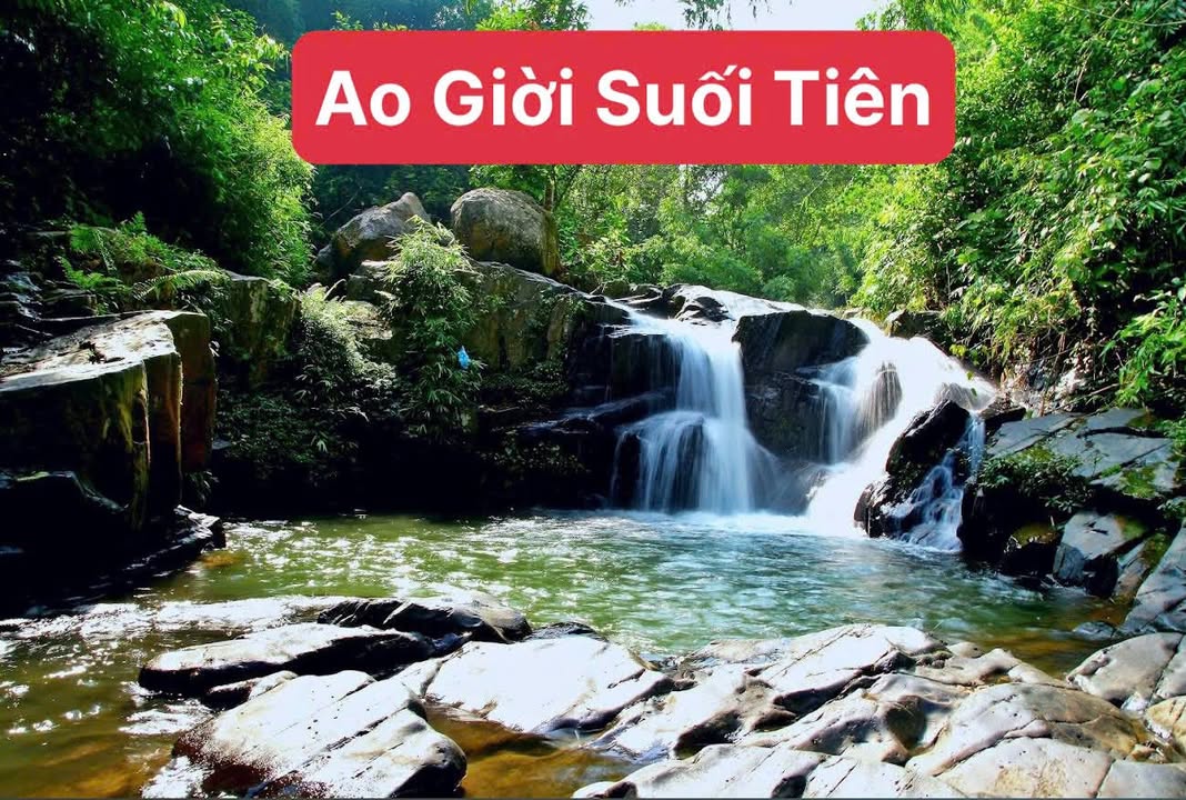 Bán đất Farm Hạ Hòa Phú Thọ 800m² - Mặt tiền đường nhựa, sổ đỏ chính chủ!