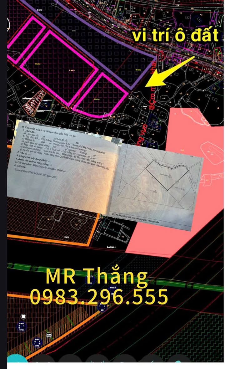 Đất nền Đại Yên Hạ Long 200m² - Giá tốt, đầu tư sinh lời!