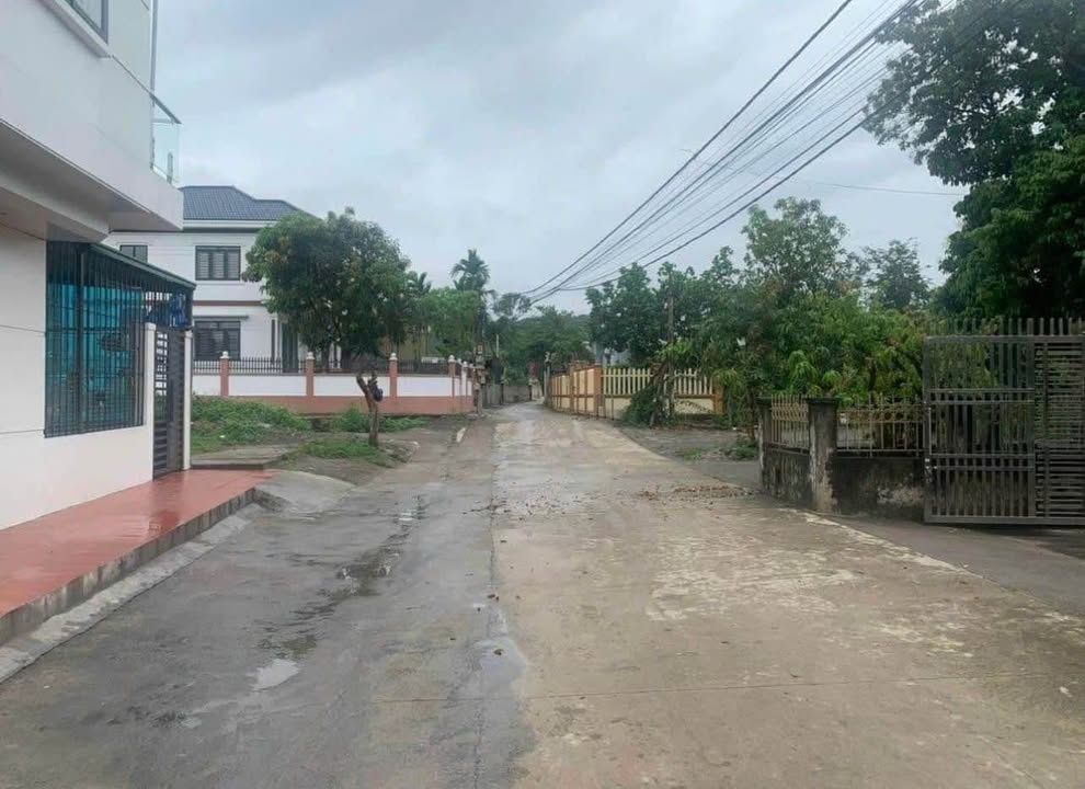 Đất đẹp Hạ Long 56.3m² giá 1.5 tỷ - Cơ hội đầu tư hấp dẫn!