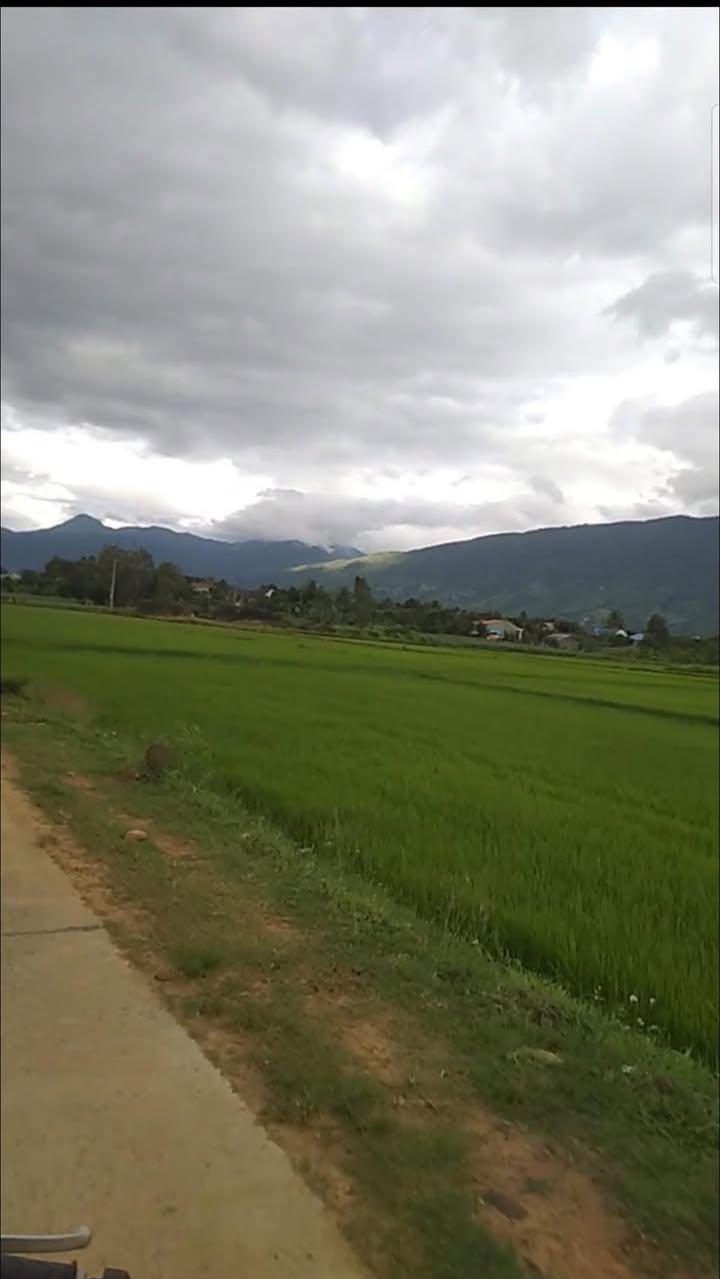 Đất nền Ea Trul 14.400m² giá 42 triệu/m² - Cơ hội đầu tư hiếm có!