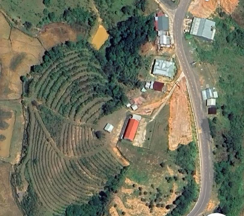 Đất mặt đường nhựa xã Măng Cành, huyện Kon Plông 20.000m² giá 2 tỷ - Cơ hội đầu tư tiềm năng!