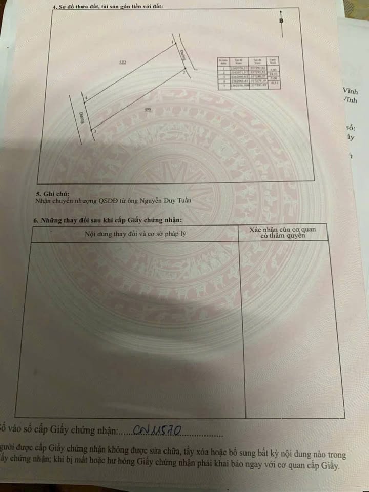 Đất thổ cư Đạo Tú, Tam Dương 87m² - Giá thỏa thuận, sổ đỏ chính chủ!