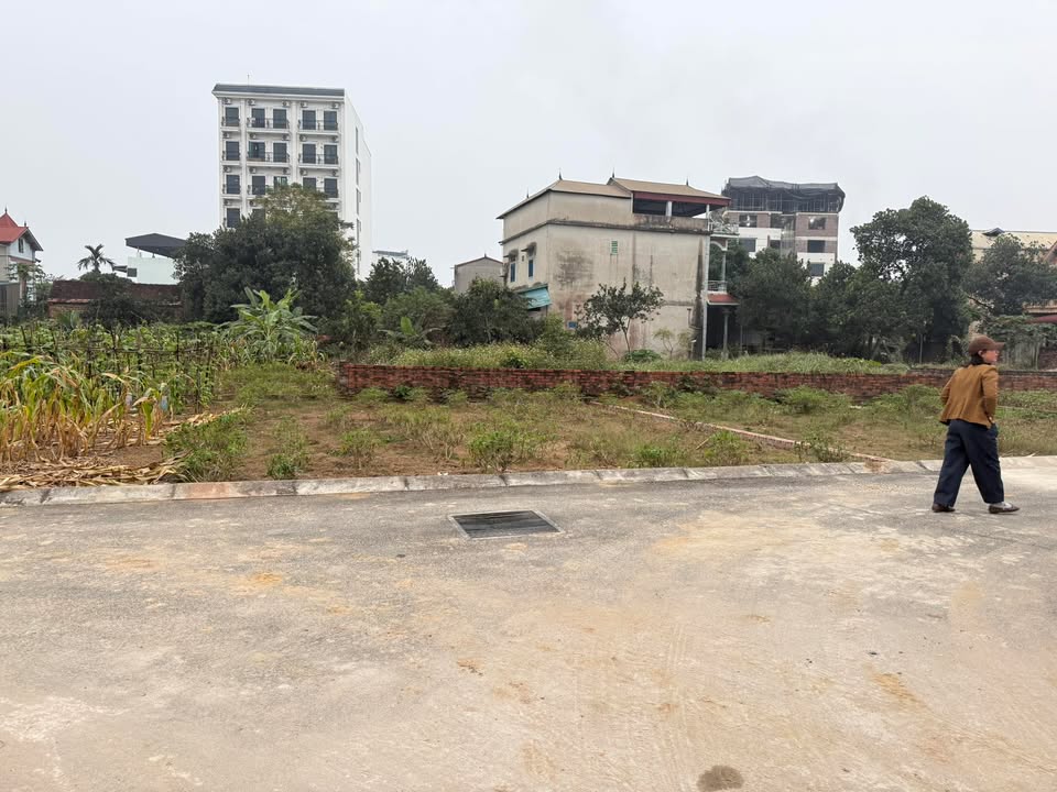 Đất nền Tân Xã Thạch Thất 156m² giá thỏa thuận - Vị trí đắc địa ngay trục chính!