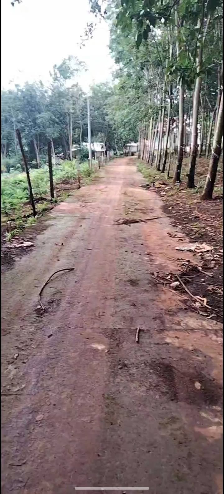 Đất Farm 90.000m² tại Phước An, Hớn Quản giá 1.6 tỷ - Đầu tư sinh lời tốt!