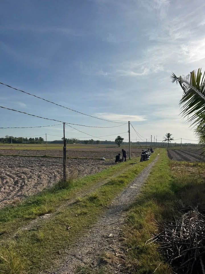 Đất nền Long Châu, Long Chữ, Tây Ninh 264m² giá 215 triệu - Đầu tư sinh lời ngay!