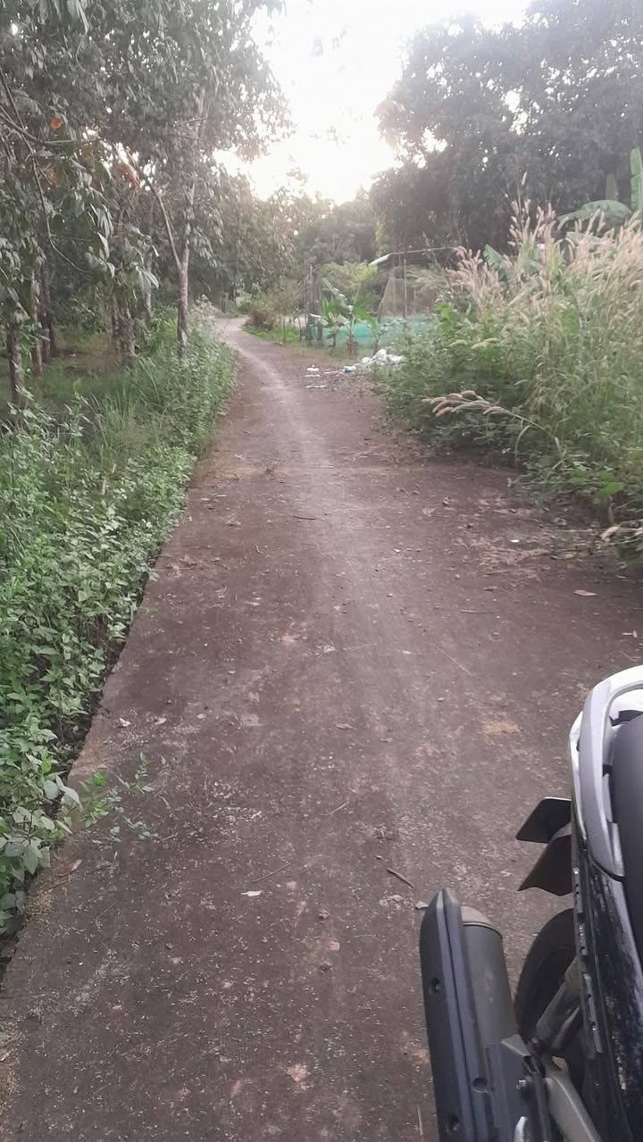 Đất nông nghiệp ấp Thanh Tâm, Bù Đốp 23,000m² giá 2.35 tỷ - Pháp lý rõ ràng, sổ hồng chính chủ!