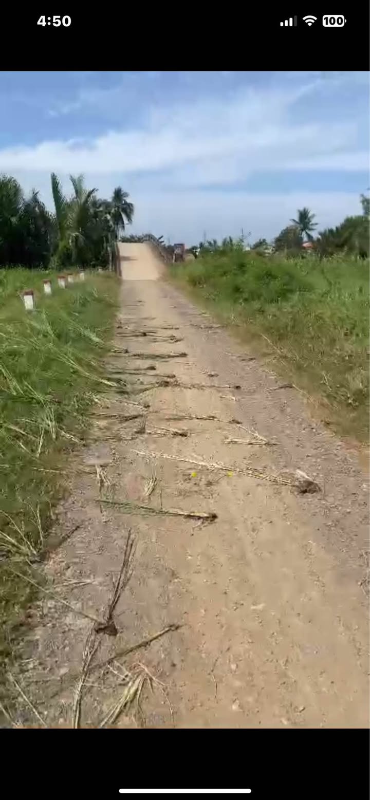 Đất Nông Nghiệp Mỹ Lệ, Cần Đước 1660m² giá 3.32 tỷ - Khu vực chuyển đổi mục đích!