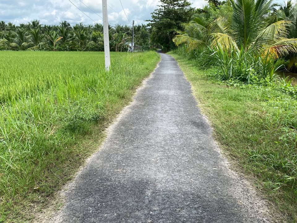 Đất ruộng 10 công mặt tiền đường nhựa xã Châu Điền - Giá 260 triệu, thương lượng!