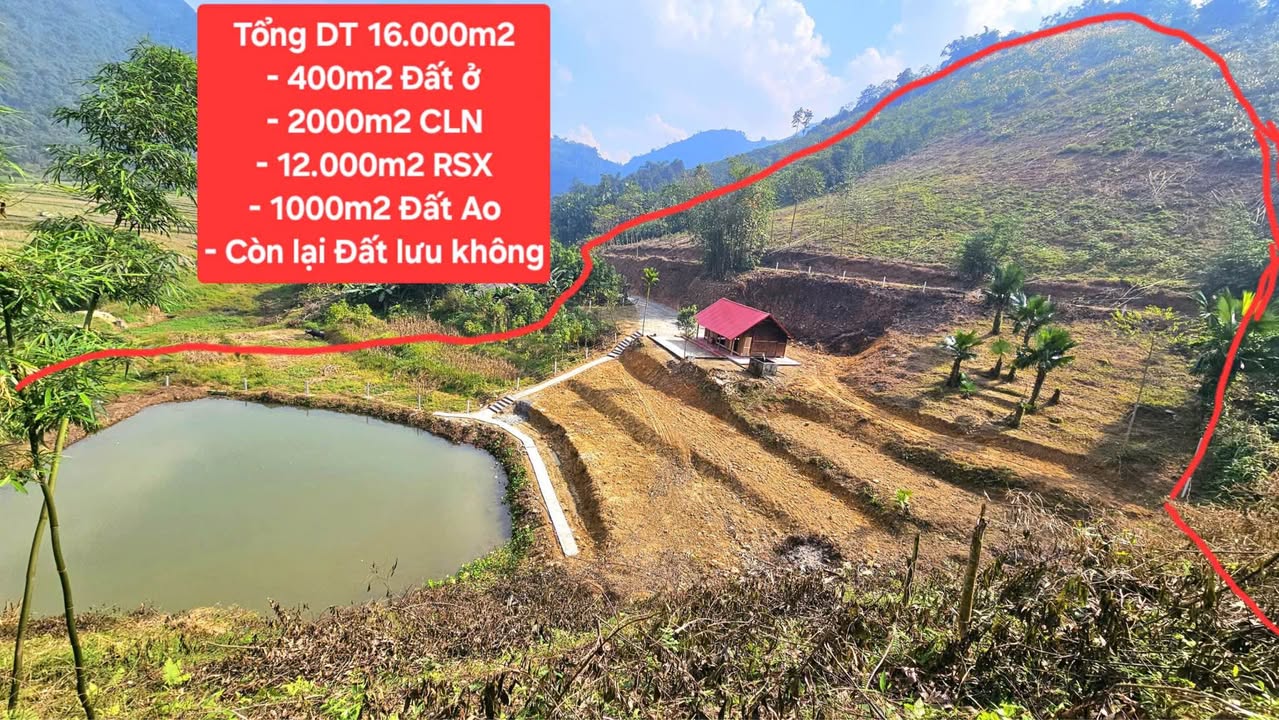 Farm nghỉ dưỡng 16.000m² tại Thượng Long - Phú Thọ - Thế đất đẹp, pháp lý sạch!