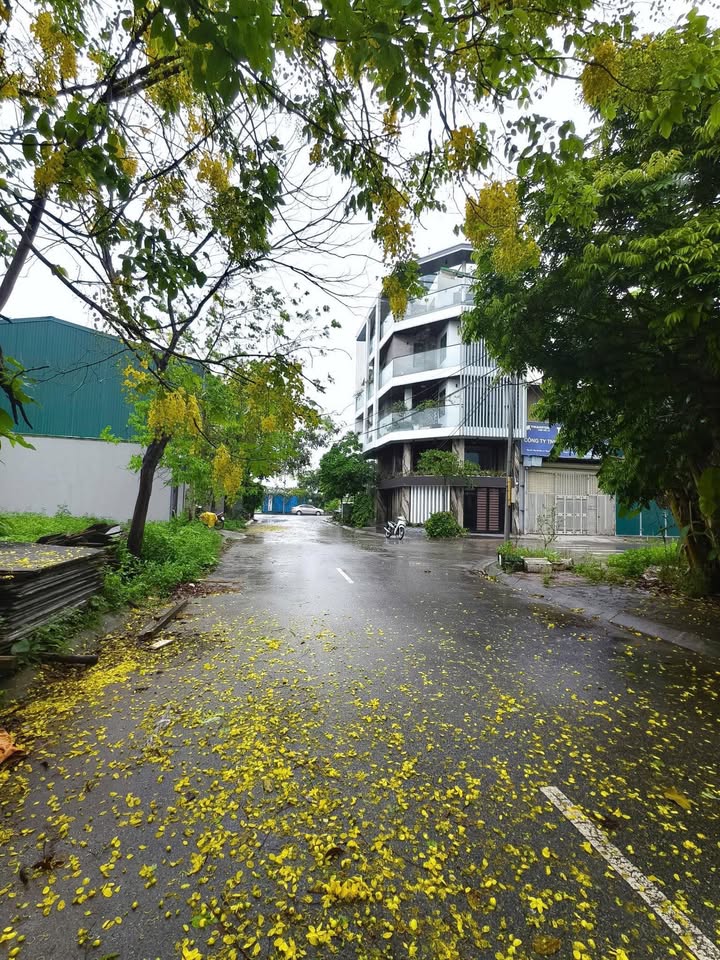 Đất nền Liên Ninh, Thanh Trì 30m² giá 5.8 tỷ - Sổ đỏ chính chủ, giao dịch ngay!