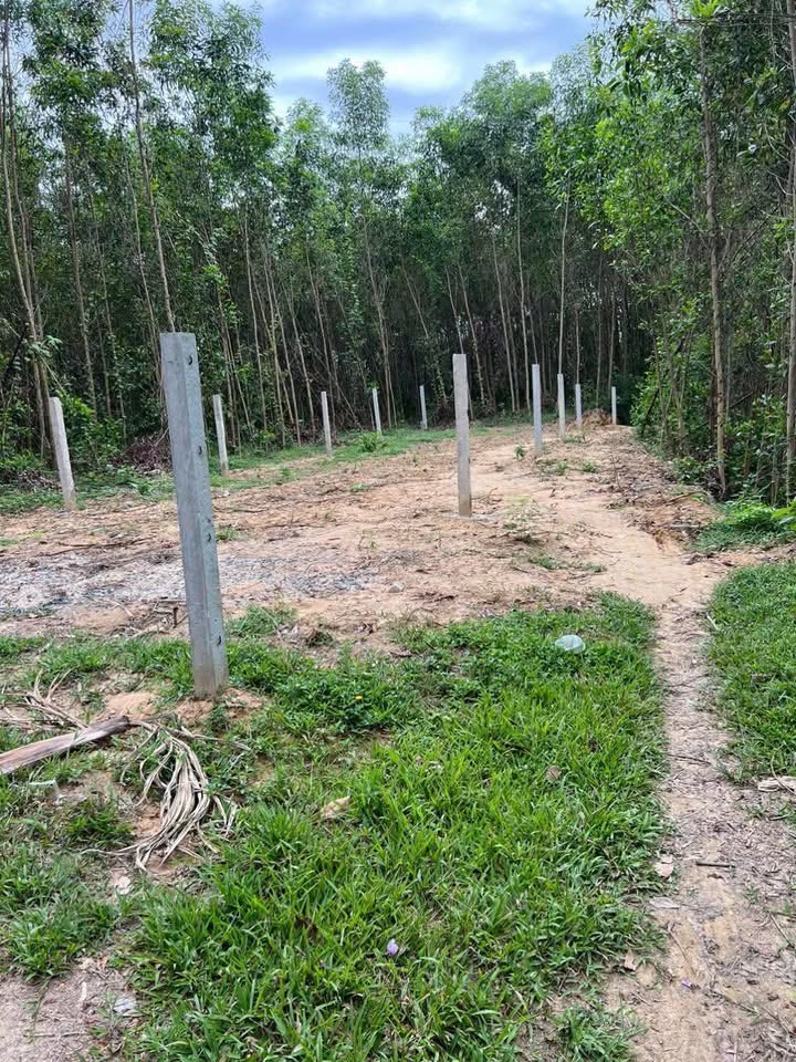 Đất nền 2 mặt tiền đường ô tô tại Bà Nà, 159m² - Giá chỉ 700 triệu!