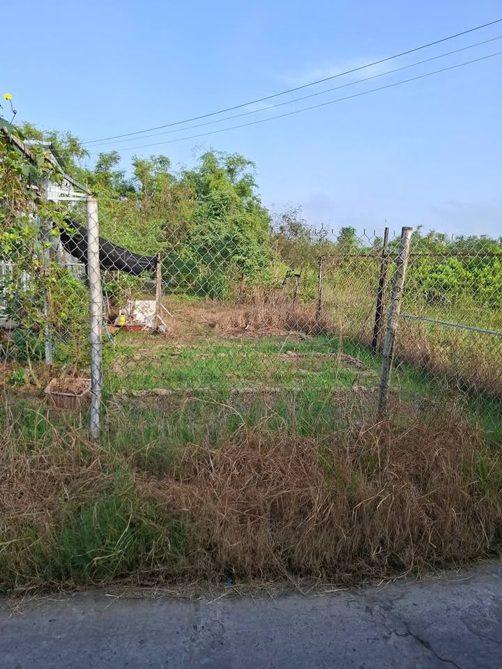 Đất nền Ấp Vạn Thành, xã Bình Nghị, 215m² giá 360 triệu - Pháp lý rõ ràng, hỗ trợ vay ngân hàng!