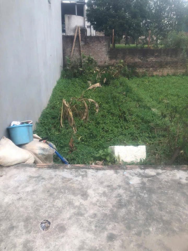 Đất nền xã Vạn Phúc, Thanh Trì, Hà Nội 36m² giá chỉ 2 tỷ - Cơ hội đầu tư tuyệt vời!