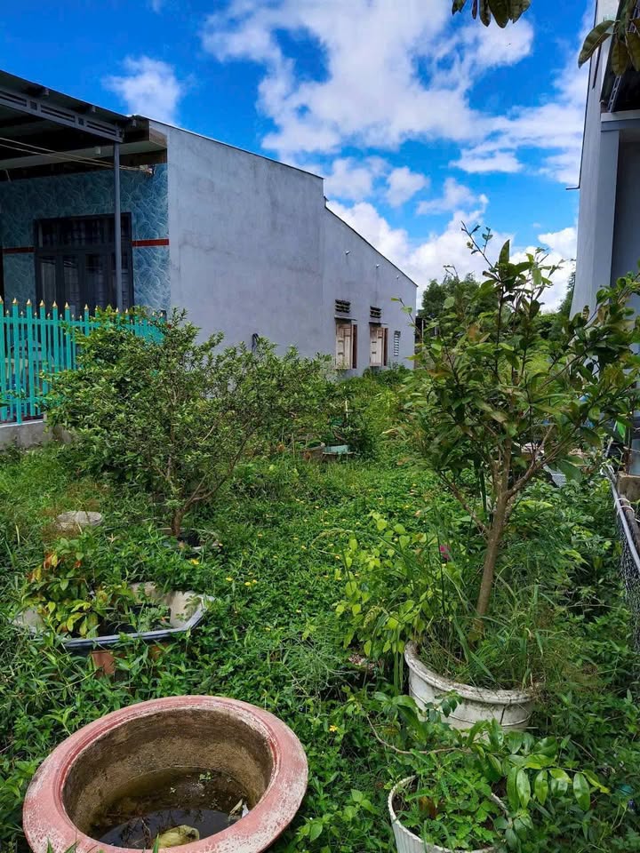 Đất thổ cư 40m² tại Phước Bửu, Xuyên Mộc, giá 1.25 tỷ - Cơ hội đầu tư tuyệt vời!