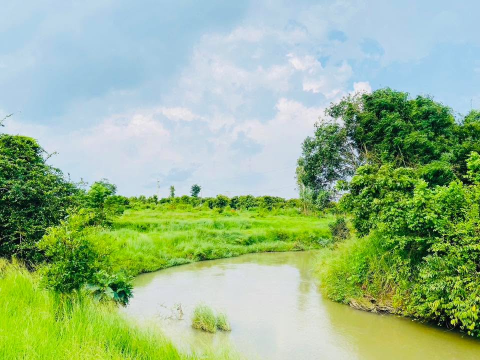 Đất mặt tiền sông suối Hòa Hội Xuyên Mộc 2000m² giá 2.9 tỷ - Cơ hội đầu tư tuyệt vời!