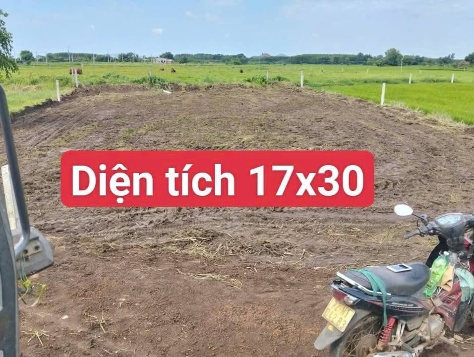 Đất nền thị trấn Đất Đỏ 496m² giá 820 triệu - Đầu tư sinh lời hấp dẫn!