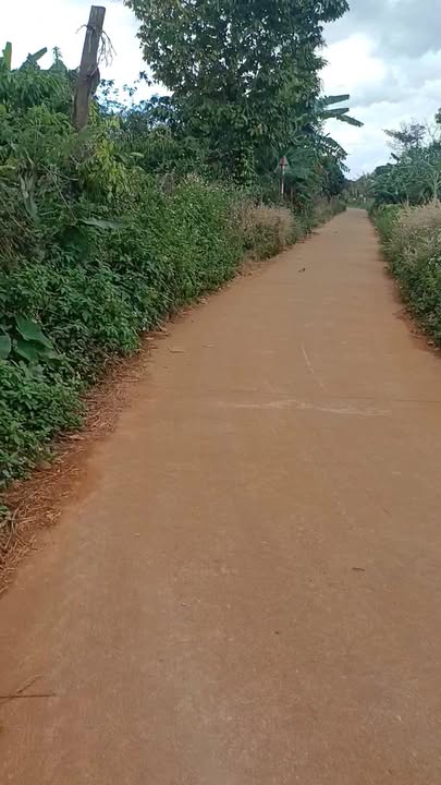 Đất thổ cư 3 sào Ea H'đing Cư M'gar giá chỉ 1.55 tỷ - Mặt tiền đường bê tông