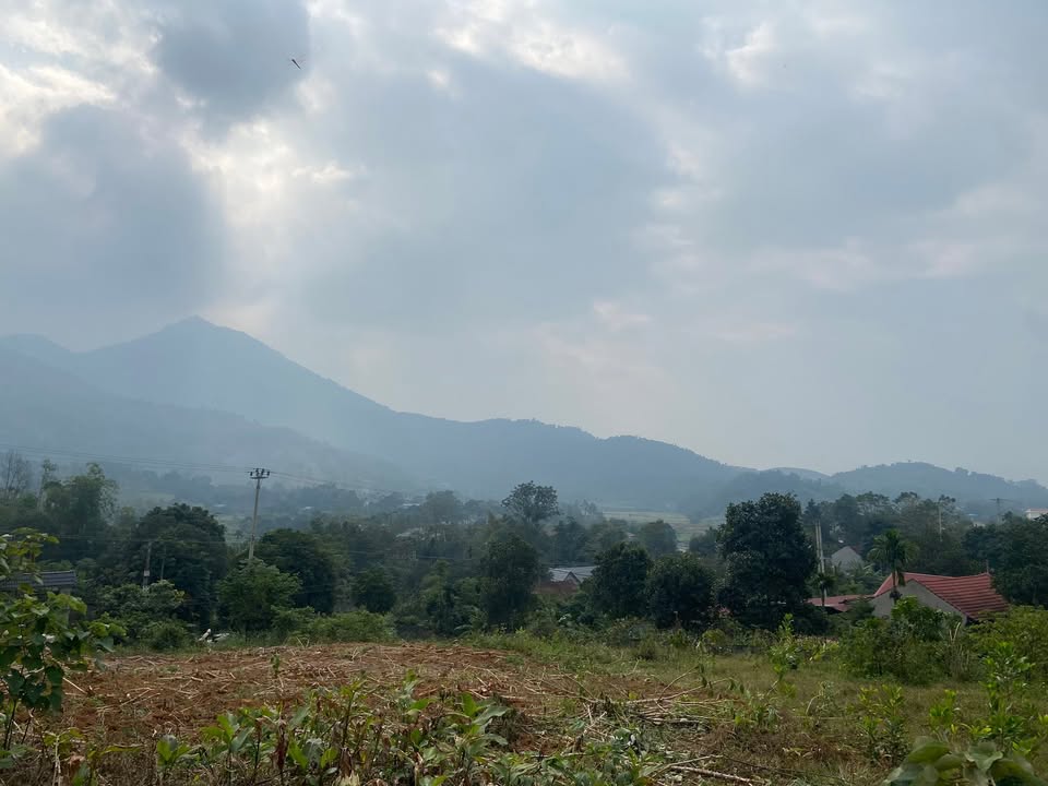 Đất thổ cư 450m² mặt đường DT415, xã Minh Quang, Ba Vì - Cơ hội đầu tư sinh lời hấp dẫn!