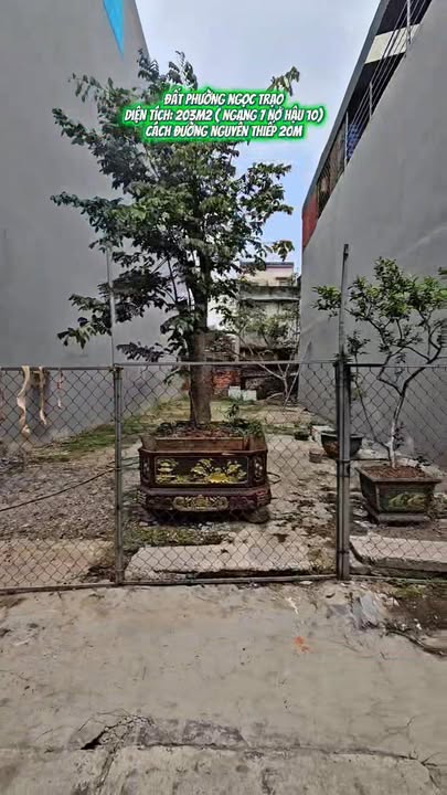 Đất nền Ngọc Trạo, TP Thanh Hóa 203m² giá chỉ 3,x triệu - Cơ hội đầu tư hấp dẫn!