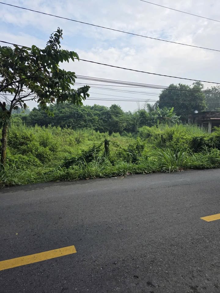 Lô đất mặt tiền đường Nguyễn Thị Đẹt, Nhuận Đức, Củ Chi 227m² - Giá tốt, thương lượng ngay!