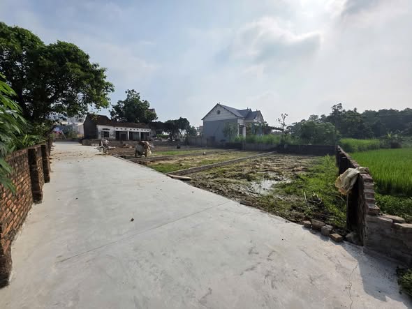 Lô đất tại Lương Đình, Sóc Sơn 100m² giá 760 triệu - Cơ hội đầu tư giá trị!