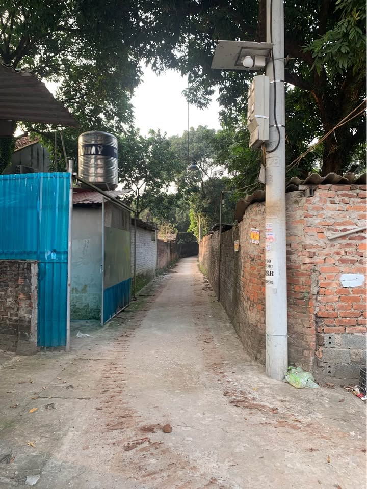 Đất trồng cây lâu năm 979m² tại phường Đại Thành, Quốc Oai - Cần bán gấp!