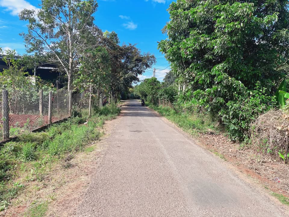 Đất mặt tiền Ỷ Lan, Pleiku 270m² giá 1.59 tỷ - Cơ hội đầu tư tuyệt vời!