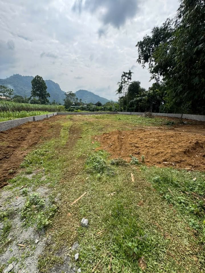 Đất nền tại xã Bình Sơn, Kim Bôi, 1002m² - Pháp lý rõ ràng, giá thỏa thuận!