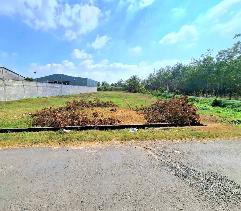 Lô đất 3200m² Đôn Thuận Trảng Bàng giá 3 tỷ - Đường nhựa 2 mặt tiền